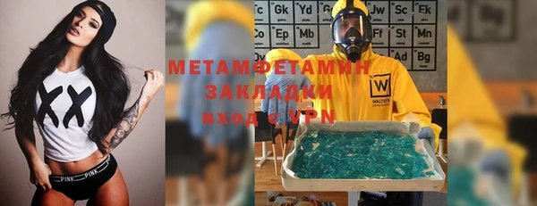 прущие грибы Пестово