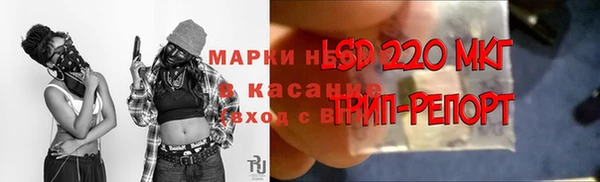прущие грибы Пестово