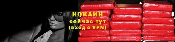 прущие грибы Пестово