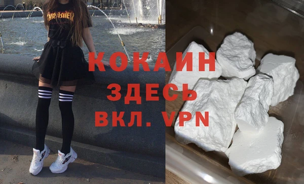 прущие грибы Пестово