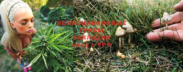 наркотики Пересвет