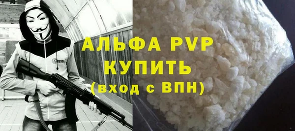 прущие грибы Пестово