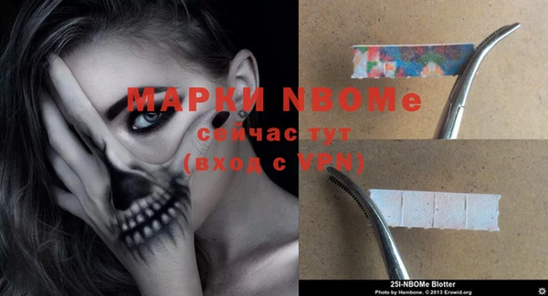 прущие грибы Пестово