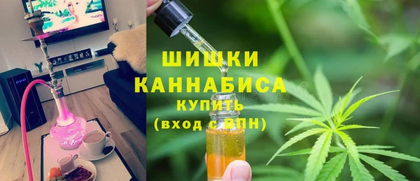 прущие грибы Пестово