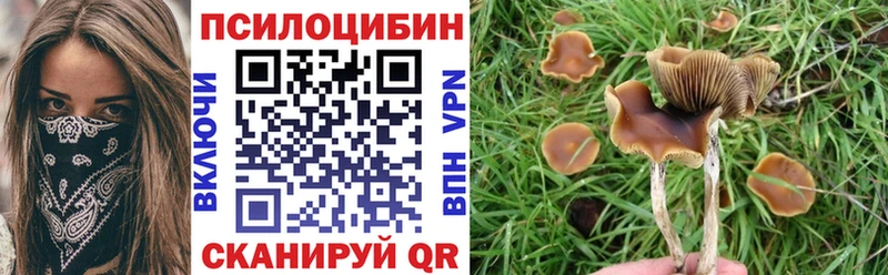 Псилоцибиновые грибы мицелий  маркетплейс официальный сайт  Афипский  наркотики 